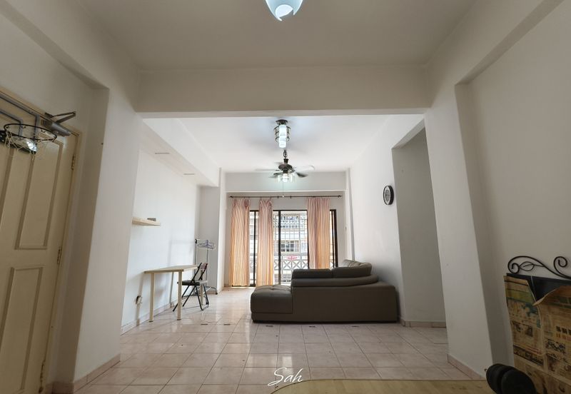 Evergreen Park Acorn and Hazel