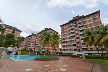 Evergreen Park Cypress