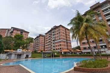 Evergreen Park Cypress