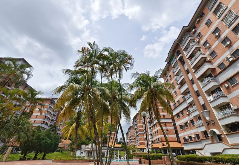 Evergreen Park Cypress