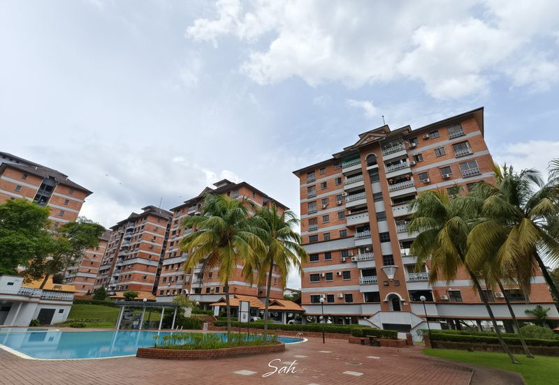 Evergreen Park Acorn and Hazel