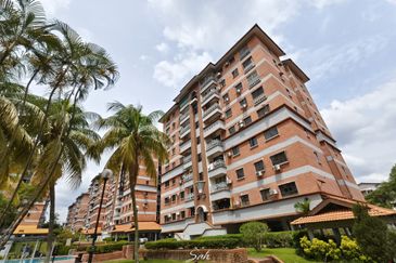 Evergreen Park Acorn and Hazel