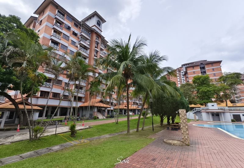 Evergreen Park Acorn and Hazel
