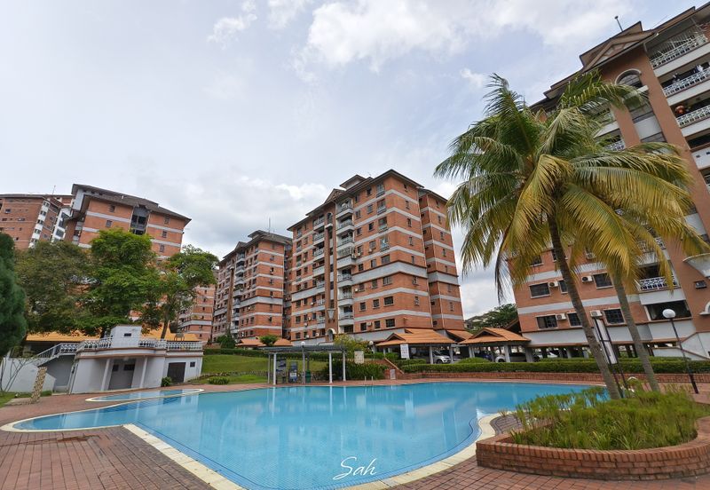 Evergreen Park Acorn and Hazel