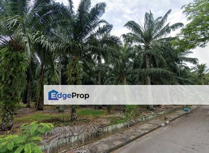 Land for Sale at Permatang Tinggi ,Simpang Ampat, Penang, Permatang Tinggi