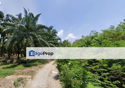 Land for Sale at Permatang Tinggi ,Simpang Ampat, Penang, Permatang Tinggi