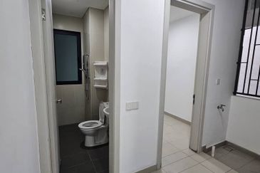 The Light Collection II