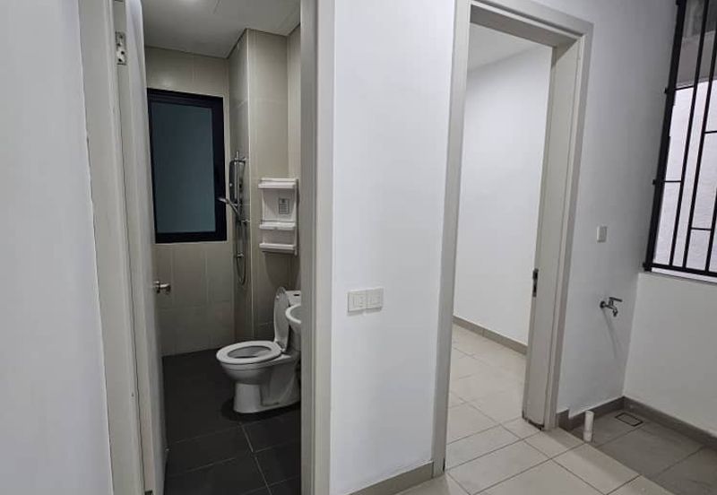 The Light Collection II