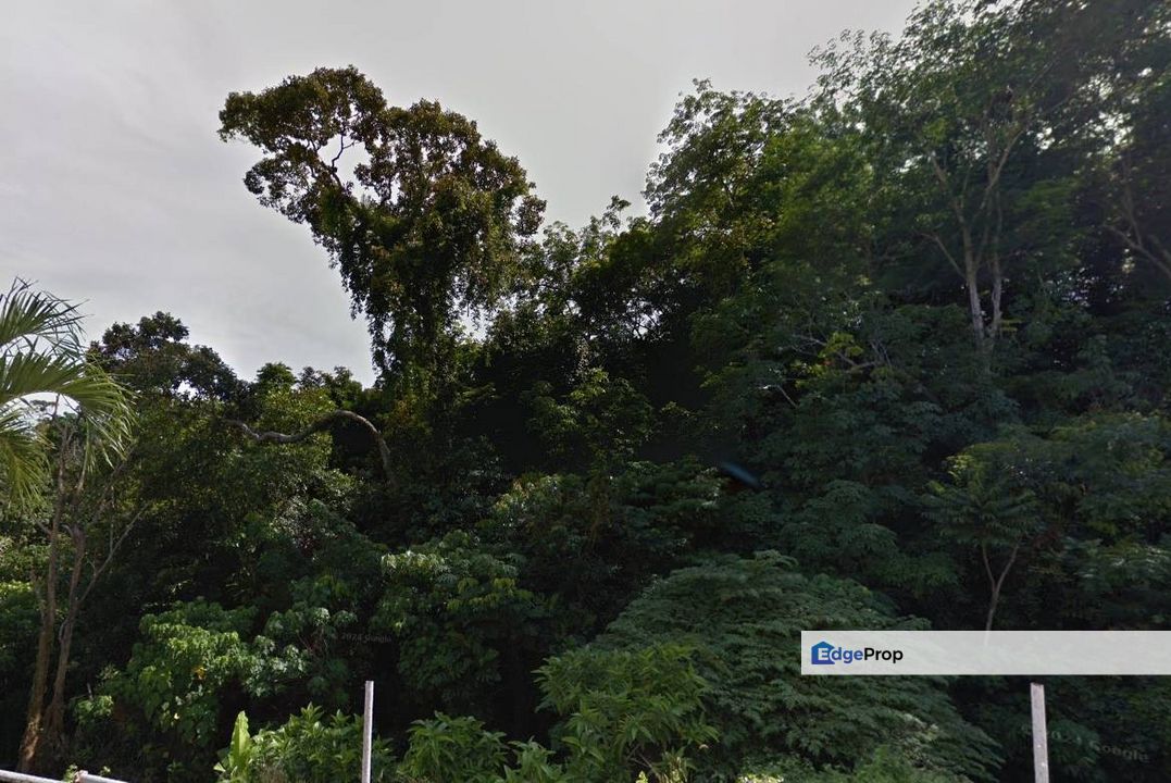 Land For Sale at Papan Hills , Bayan Lepas, Penang, Bayan Lepas