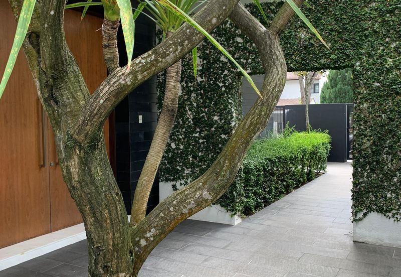 Damansara Heights (Bukit Damansara)