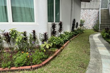 Damansara Heights (Bukit Damansara)