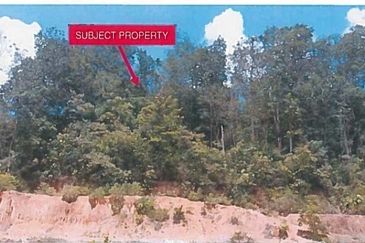 Kampung Baru Sungai Buloh