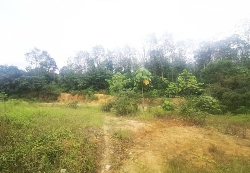 Kampung Baru Sungai Buloh