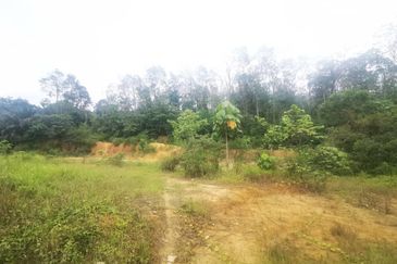 Kampung Baru Sungai Buloh