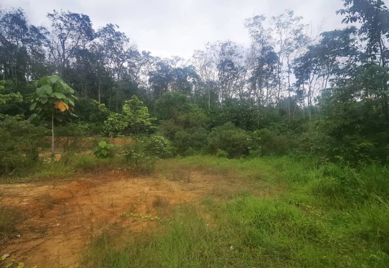 Kampung Baru Sungai Buloh