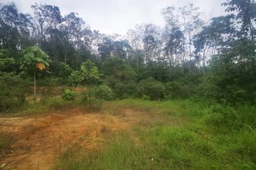 Kampung Baru Sungai Buloh