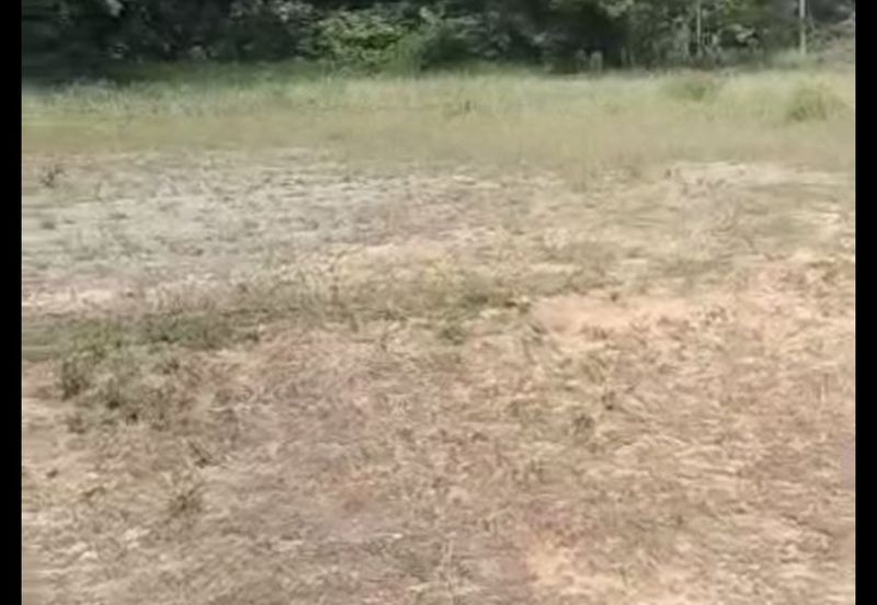 Staffield Country Resort