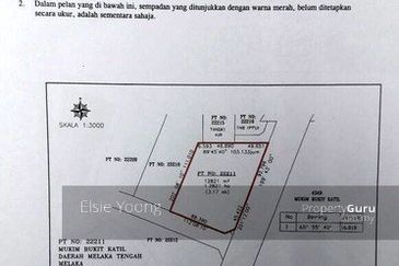 JALAN BUKIT BERUANG/AYER KEROH
