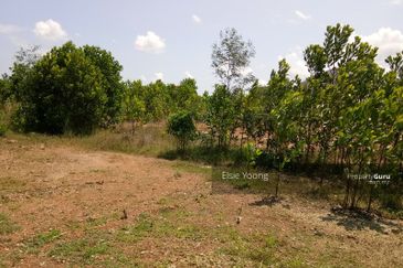 JALAN BUKIT BERUANG/AYER KEROH