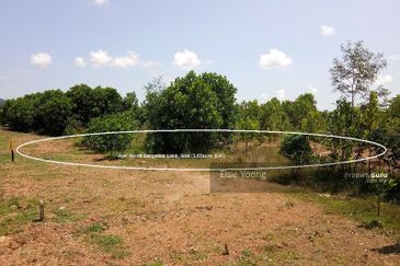 JALAN BUKIT BERUANG/AYER KEROH