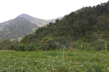 RESIDENTIAL HILLS BUNGALOW LAND FOR SALES-BENTONG