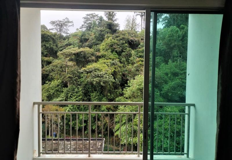 Cameron Somer Square Apartment