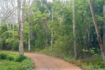 JALAN GUA MUSANG-PULAI