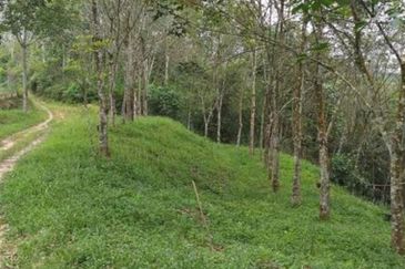 JALAN GUA MUSANG-PULAI