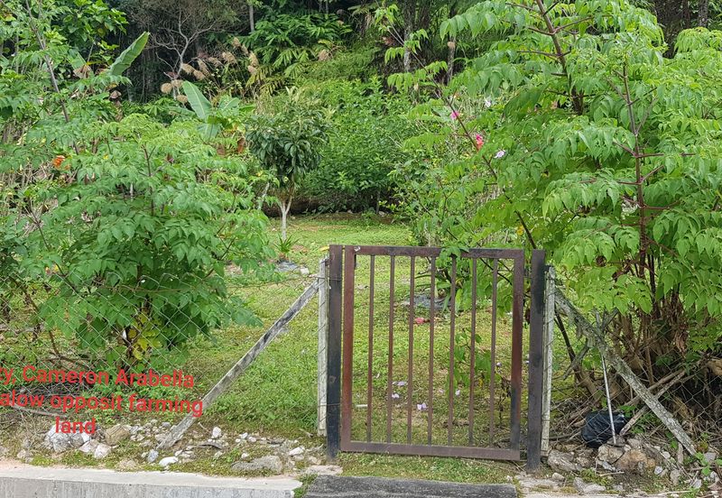 BANDAR BARU TANAH RATA