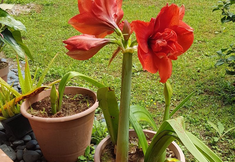 BANDAR BARU TANAH RATA