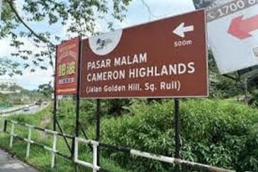 Cameron Somer Square Apartment