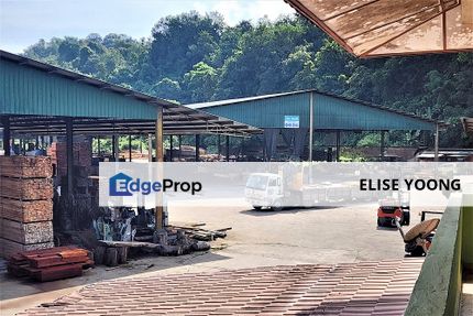 Timber Wood Industrial Factory,Kelantan-For Sales , Kelantan, Gua Musang