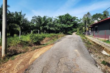 Gua Musang Agricultural Land For Sales -Kelantan