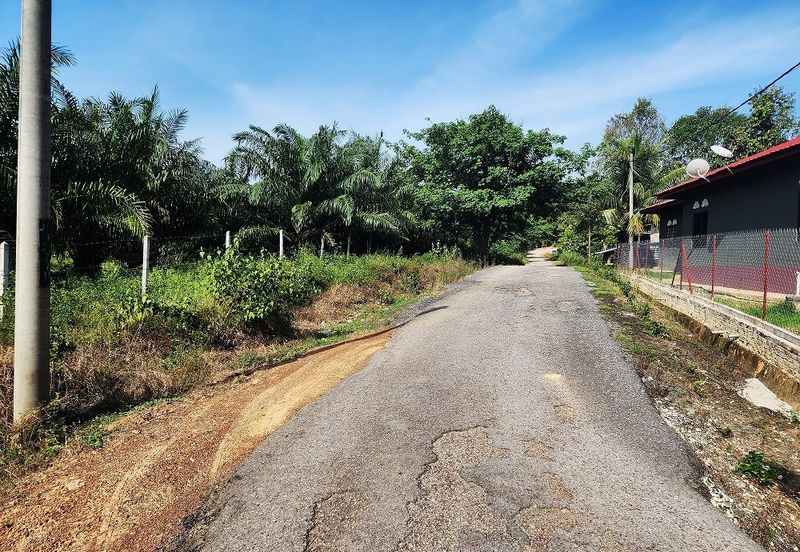 Gua Musang Agricultural Land For Sales -Kelantan