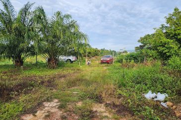 Gua Musang Agricultural Land For Sales -Kelantan