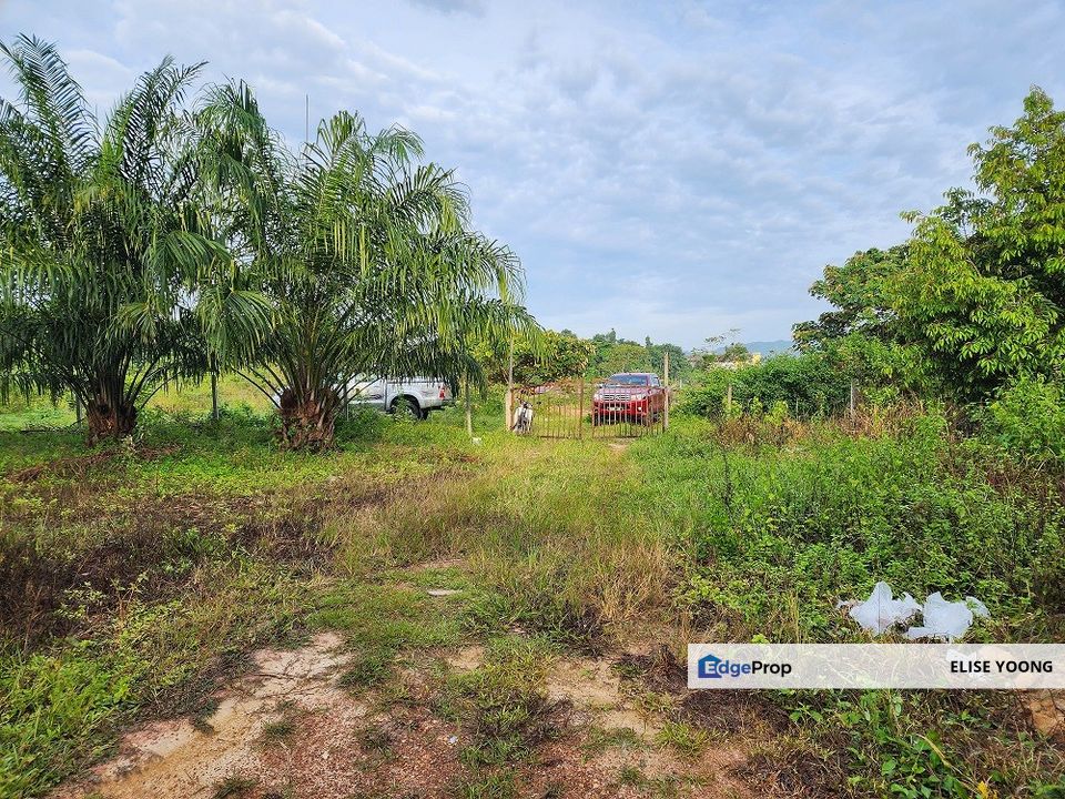 Gua Musang Agricultural Land For Sales -Kelantan, Pahang, Kuantan