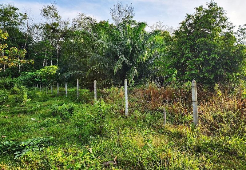 Gua Musang Agricultural Land For Sales -Kelantan