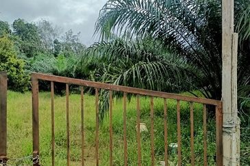 Gua Musang Agricultural Land For Sales -Kelantan