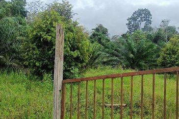 Gua Musang Agricultural Land For Sales -Kelantan