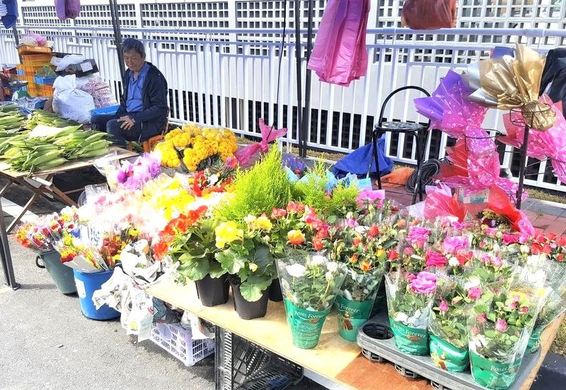 Cameron Somer Square Apartment