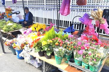 Cameron Somer Square Apartment