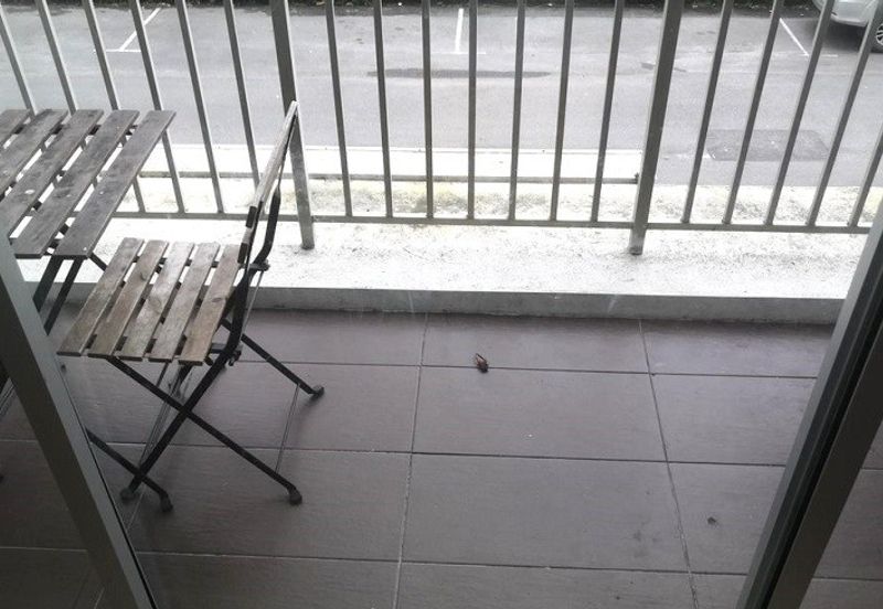 Cameron Somer Square Apartment