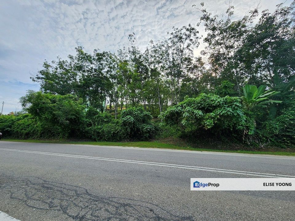 Gua Musang Agricultural Freehold Land, 7acres-Kg Pulai  , Kelantan, Gua Musang