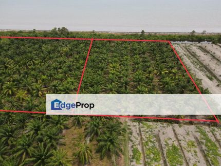 SPACIOUS 4 Acres Agricultural Land Bagan Nakhoda Omar Sabak Bernam, Selangor, Sabak Bernam