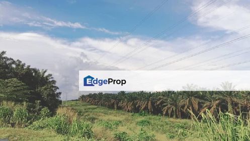 STRATEGIC LOCATION SPACIOUS 1124 Acres Industrial Land Kluang, Johor, Johor, Kluang