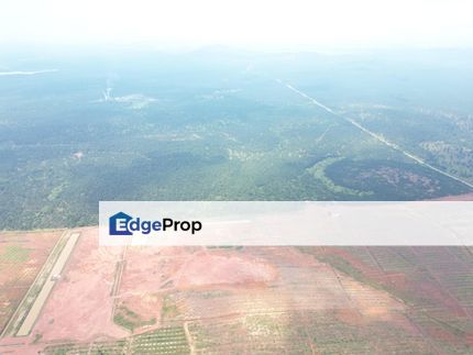 SPACIOUS 286 Acres Agricultural Land Kampung Sermin, Segamat, Johor, Johor, Segamat