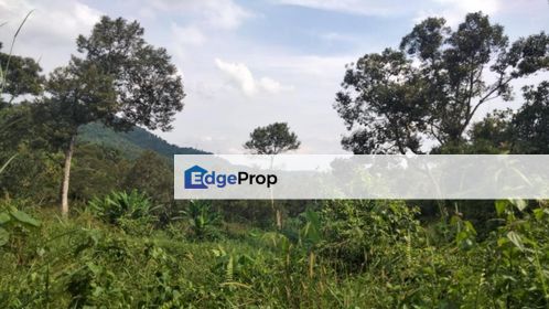 BELOW MARKET 86.49 Acres Agricultural Land Paroi, Senawang, Negeri Sembilan, Senawang