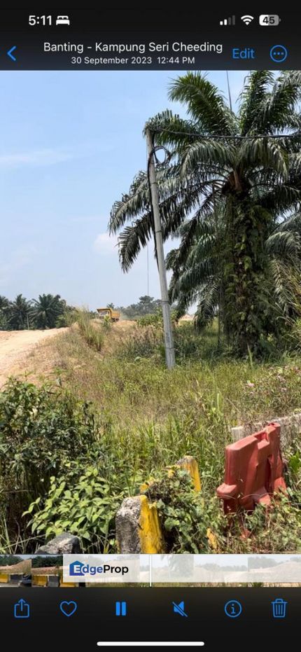 Tanjong Dua Belas, Kuala Langat Agricultural Land For Sale BELOW MARKET, Selangor, Banting