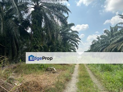Telok Panglima Garang 2.5 Acres Agricultural Land For Sale SPACIOUS, Selangor, Kuala Langat