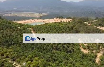 Tampin, Negeri Sembilan 100 Acres Agricultural Land For Sale SPACIOUS, Negeri Sembilan, Tampin